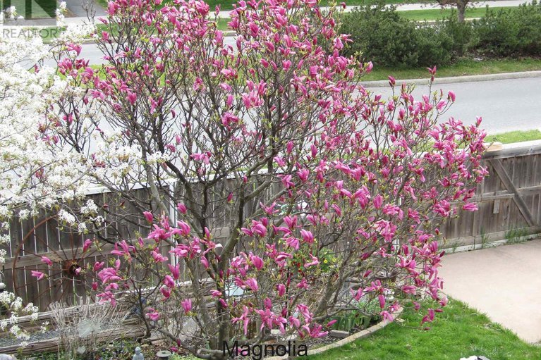 29405878/176-windhurst-drive/barrhaven-east/ottawa/ontario/K2G6J4_36