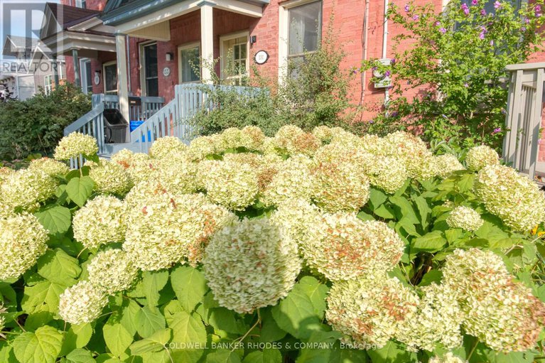 28920473/129-elm-street/west-centre-town/ottawa/ontario/K1R6N4_25
