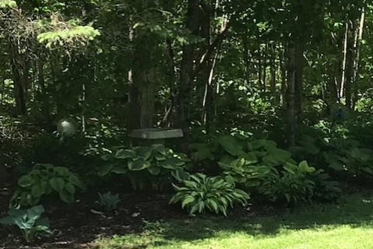 29626147/502-tennyson-road/drummond-n-elmsley-drummond-twp/drummondnorth-elmsley/ontario/K7H3C8_47