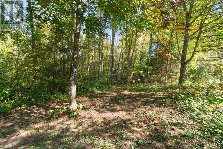 28935787/2-sugar-maple-way/north-grenville-twp-kemptville-east/north-grenville/ontario/K0G1J0_35