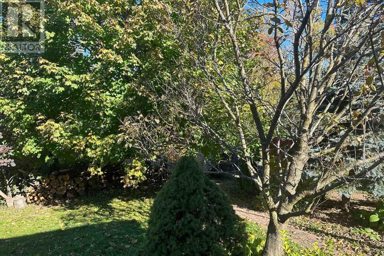 28366381/98-menard-street/embrun/russell/ontario/K0A1W1_29