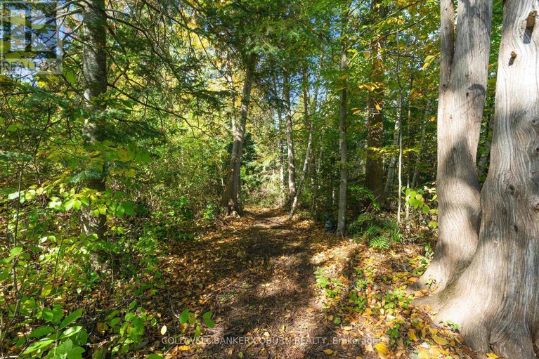 28935787/2-sugar-maple-way/north-grenville-twp-kemptville-east/north-grenville/ontario/K0G1J0_4