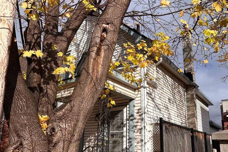 29120640/11-melrose-avenue/hintonburg/ottawa/ontario/K1Y1T8_25