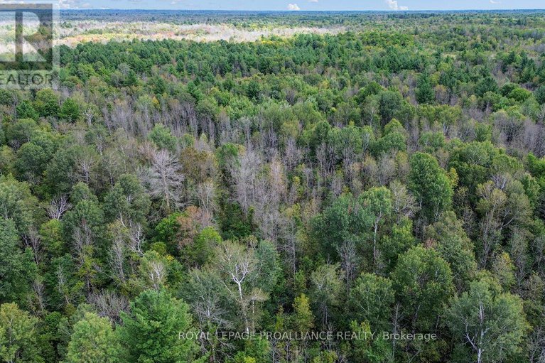 28688026/4825-mccully-road/augusta-twp/augusta/ontario/K0E1T0_29