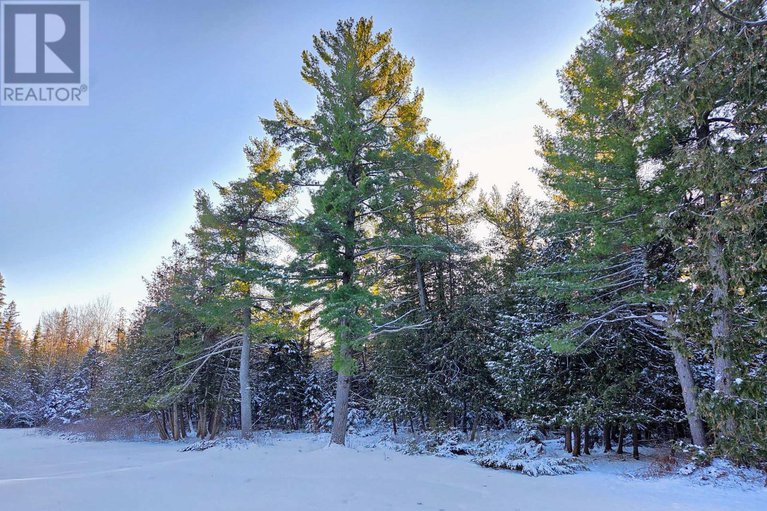 29159622/3554-vaughan-side-road/huntley-ward-north-west/ottawa/ontario/K0A1L0_50