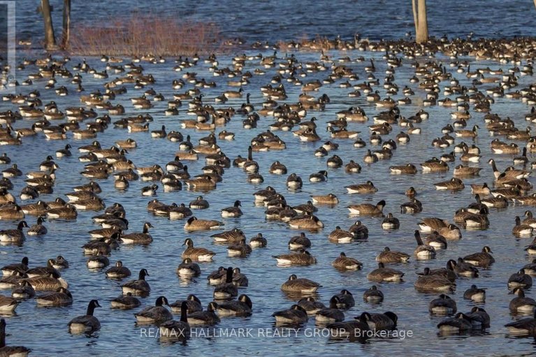 29465872/1236-bayview-drive/constance-bay/ottawa/ontario/K0A3M0_35