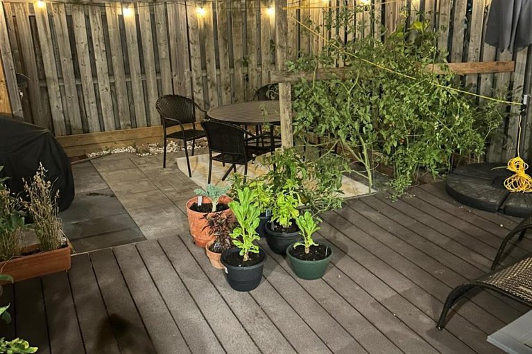 29438114/521-orkney-private/carleton-square/ottawa/ontario/K2C3M7_37