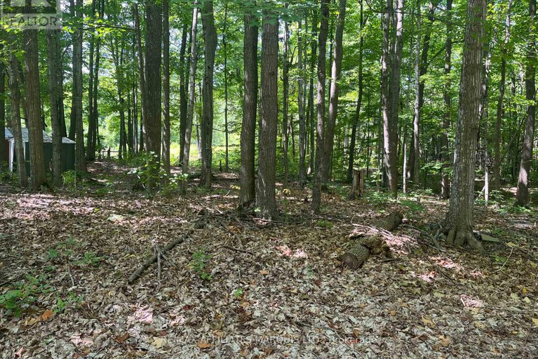 28751260/4960-county-rd-34-road/south-glengarry-charlottenburgh-twp/south-glengarry/ontario/K0C2J0_29