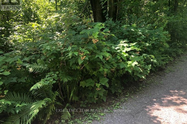 28628648/2512-county-road-30-road-w/north-glengarry-kenyon-twp/north-glengarry/ontario/K0C1A0_32