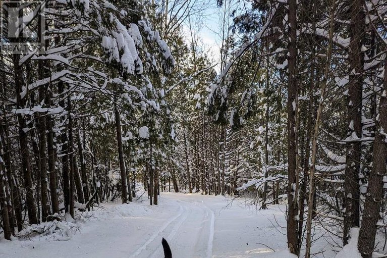 29671048/8224-county-15-road/augusta-twp/augusta/ontario/K0G1R0_46