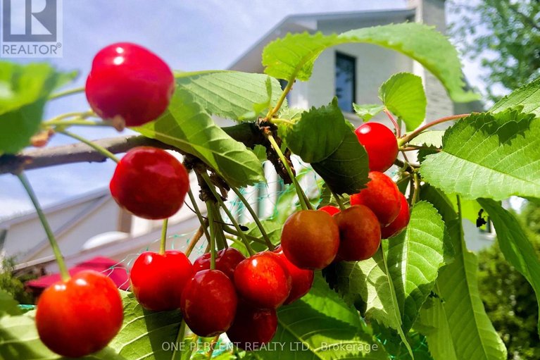 29455179/60-pontiac-street/ottawa-westtunneys-pasture/ottawa/ontario/K1Y2K1_28