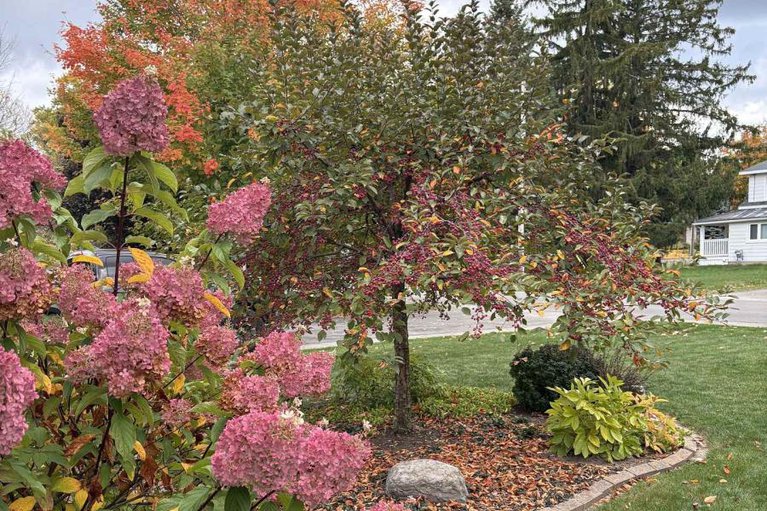 29322924/504-clothier-street-e/kemptville/north-grenville/ontario/K0G1J0_31