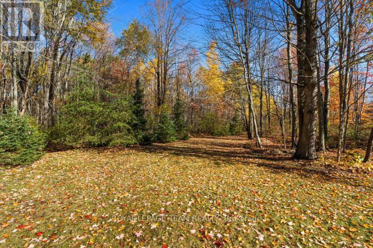 29034501/6437-waddion-drive/greely/ottawa/ontario/K4P1E7_37