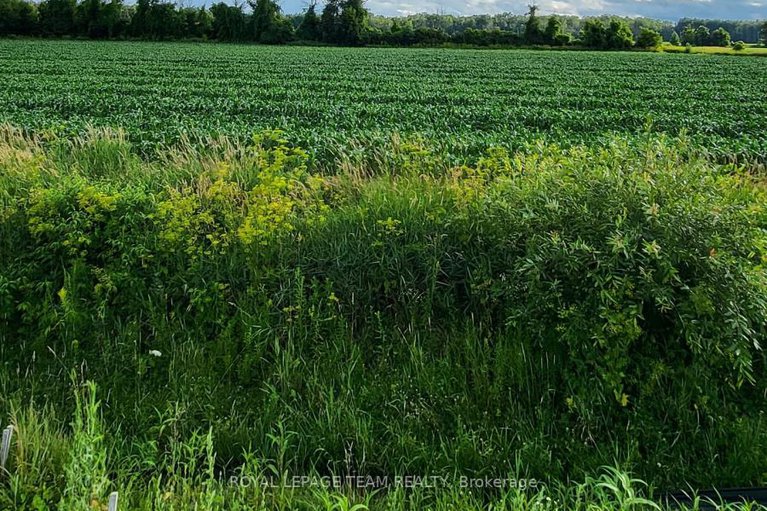 28382398/165-yearling-circle/goulbourn-twp-from-franktown-rdsouth-to-rideau/ottawa/ontario/K0A2Z0_19