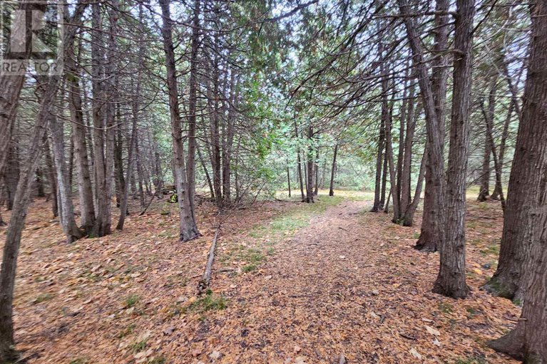 28212107/545-richmond-road/beckwith-twp/beckwith/ontario/K0A1B0_36