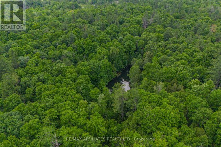 28517166/1655-old-perth-road/mississippi-mills-ramsay-twp/mississippi-mills/ontario/K0A1A0_45