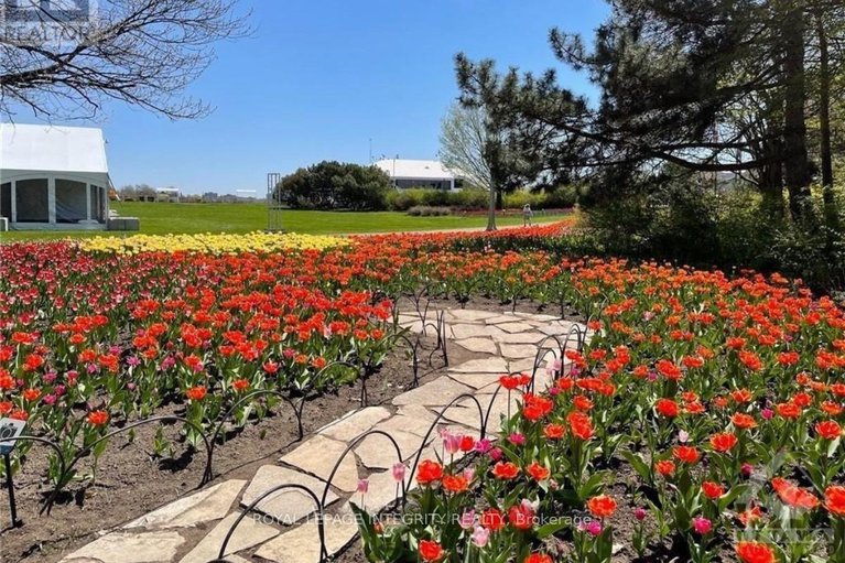 29321936/3505-805-carling-avenue/west-centre-town/ottawa/ontario/K1S5W9_39