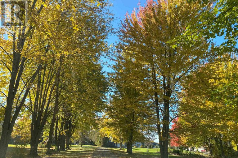 29414466/3710-river-road/north-grenville-twp-kemptville-east/north-grenville/ontario/K4M1B4_43