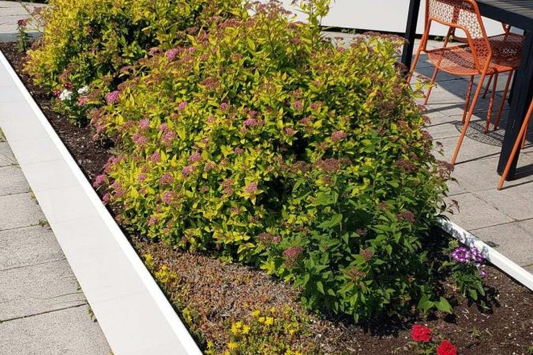 29606722/402-1000-wellington-st-street-w/hintonburg/ottawa/ontario/K1Y2X9_42