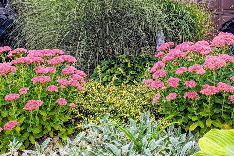 29615079/2034-p-avenue/eastway-gardensindustrial-park/ottawa/ontario/K1G6G7_36