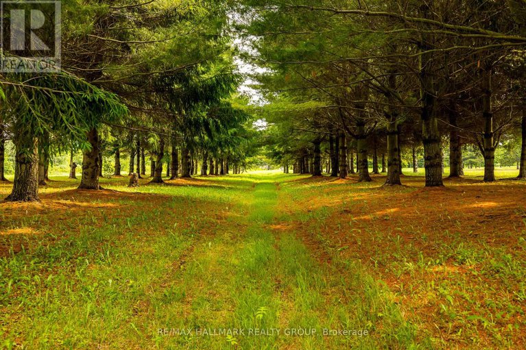 28462169/1329-south-gower-drive-s/north-grenville-twp-kemptville-east/north-grenville/ontario/K0G1J0_46