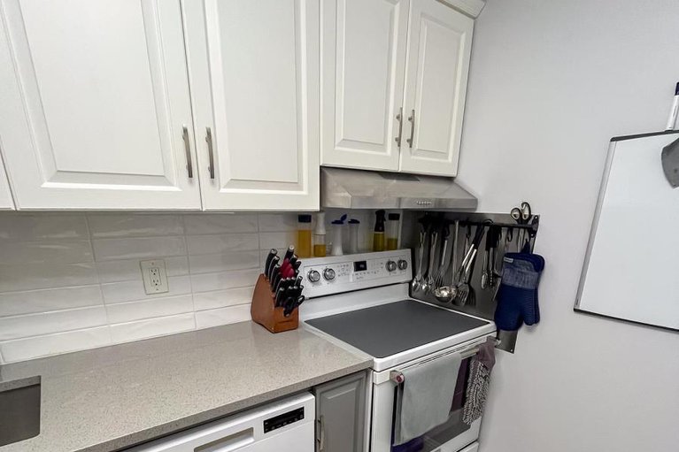 29032224/101-415-greenview-avenue/britannia/ottawa/ontario/K2B8G5_11