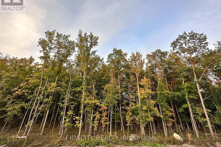 28578168/258-antler-court/mississippi-mills-ramsay-twp/mississippi-mills/ontario/K0A1A0_33