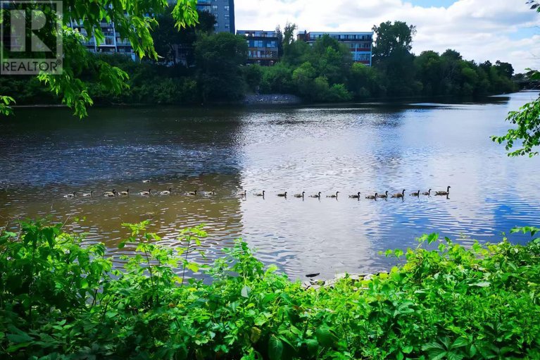 28953436/801-90-landry-street/vanier/ottawa/ontario/K1L0A9_28