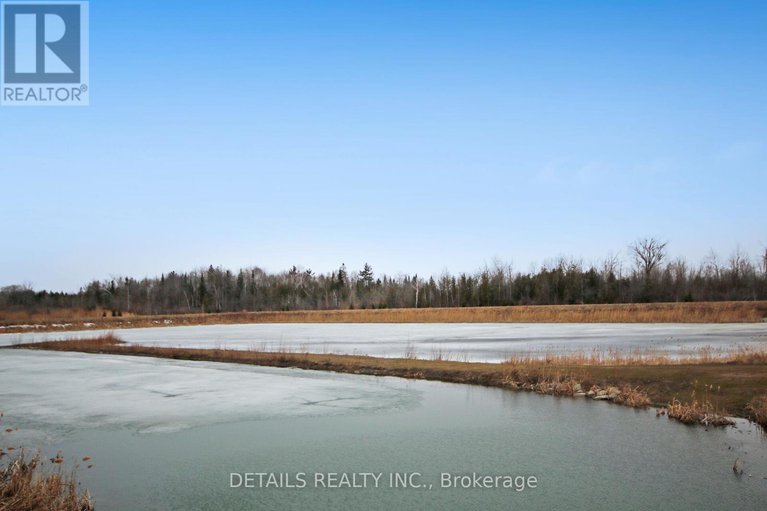 28050059/147-unity-place/stittsville-north/ottawa/ontario/K2S2Y8_41
