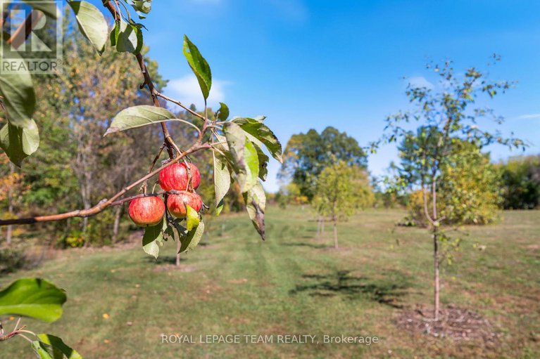28999166/524-osmond-daley-drive/huntley-ward-south-east/ottawa/ontario/K0A1L0_26