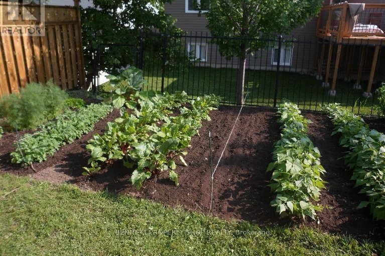 29635681/493-laurier-street/town-of-rockland/clarence-rockland/ontario/K4K1E7_26