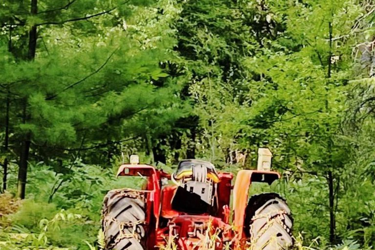28763125/756-bellamy-mills-road/mississippi-mills-ramsay-twp/mississippi-mills/ontario/K0A1A0_42