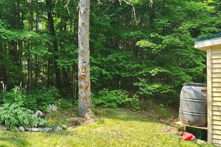 28709276/356-bow-lake-lane/lanark-highlands-lanark-twp/lanark-highlands/ontario/K0G1K0_13