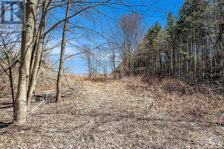 28244627/3383-champlain-street/clarencerockland-twp/clarence-rockland/ontario/K0A1E0_9