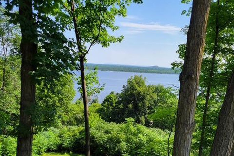 29350318/731-usborne-street/mcnabbraeside-twps/mcnabbraeside/ontario/K0A1G0_33