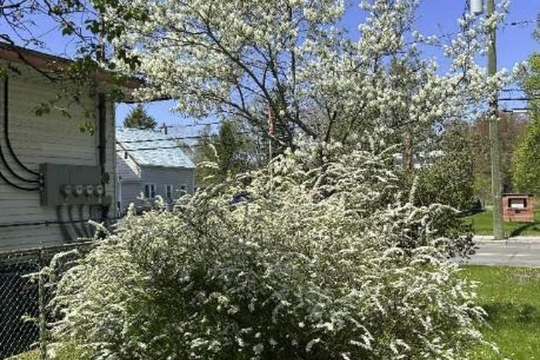 29359033/5554-osgoode-main-street/osgoode/ottawa/ontario/K0A2W0_46