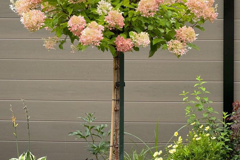 29416732/869-moses-tennisco-street/cfb-rockcliffe-and-area/ottawa/ontario/K1K5A2_36