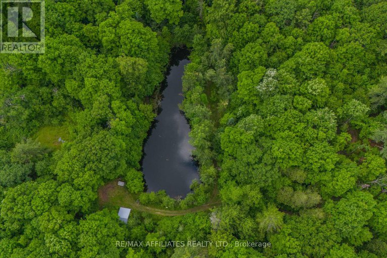 28517166/1655-old-perth-road/mississippi-mills-ramsay-twp/mississippi-mills/ontario/K0A1A0_47