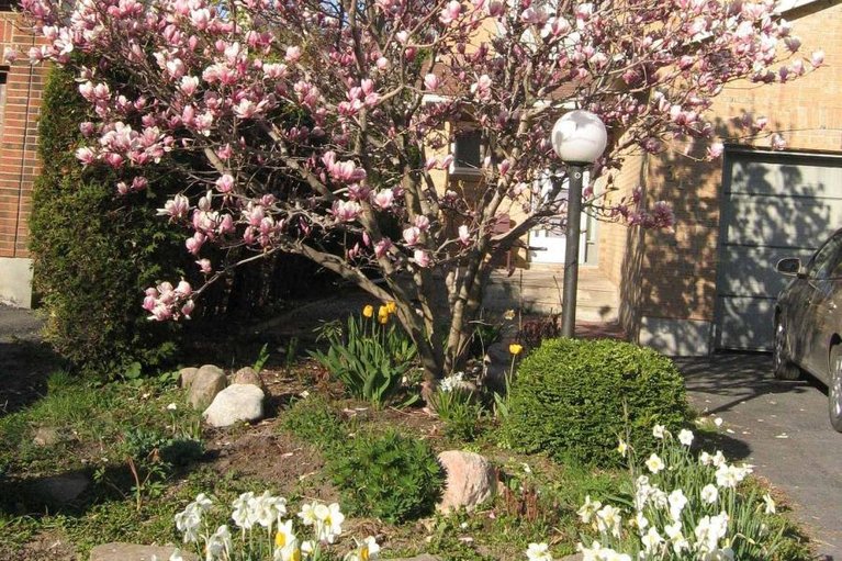 29614402/31-coolspring-crescent/borden-farmstewart-farmcarleton-heightsparkwood-hills/ottawa/ontario/K2E7M9_46