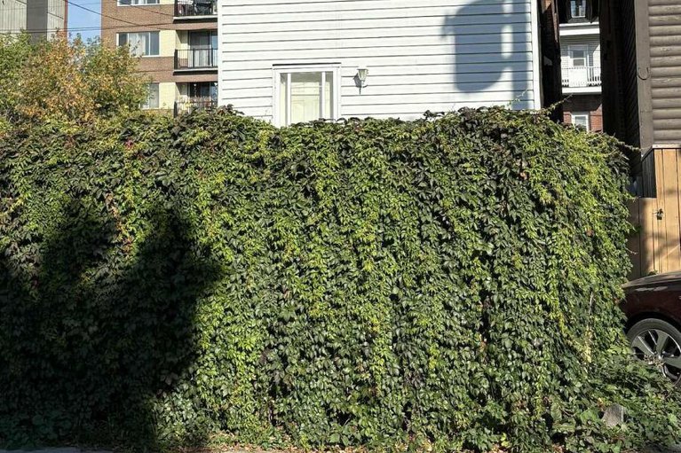 29042632/360-gilmour-street/ottawa-centre/ottawa/ontario/K2P0R3_6