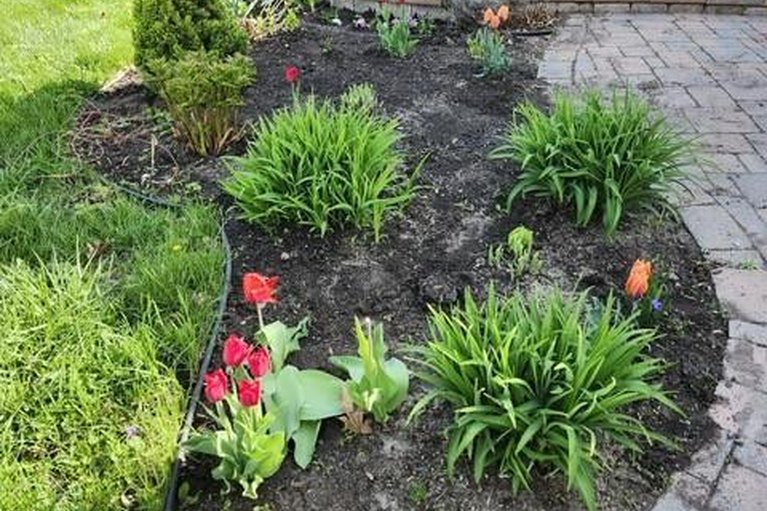 29454633/2836-mozart-court/emerald-woodssawmill-creek/ottawa/ontario/K1T2P7_30