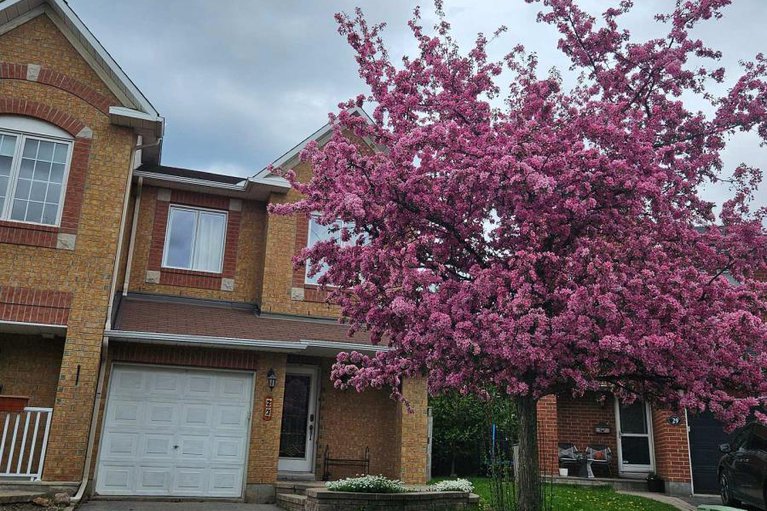 28807496/27-flowertree-crescent/emerald-meadowstrailwest/ottawa/ontario/K2M2R8_5