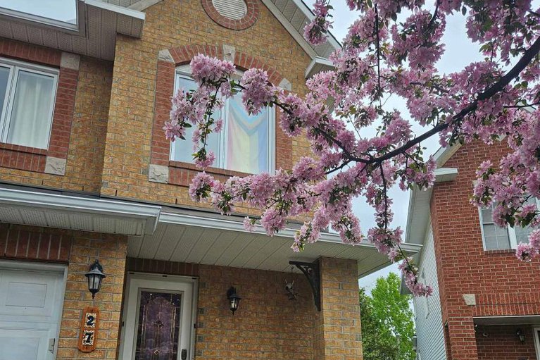 28807496/27-flowertree-crescent/emerald-meadowstrailwest/ottawa/ontario/K2M2R8_37