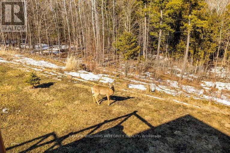28351140/3052-stoneridge-road/dunrobin-shores/ottawa/ontario/K0A1T0_44