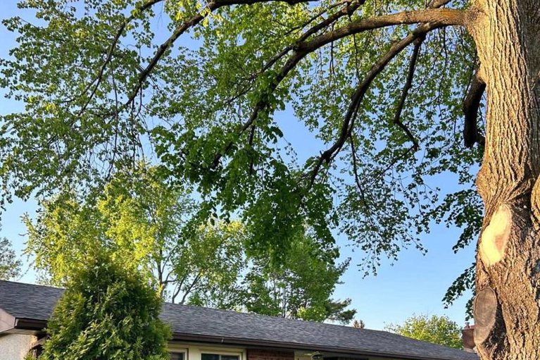 29145147/125-david-drive/meadowlandsst-claire-gardens/ottawa/ontario/K2G2N6_2