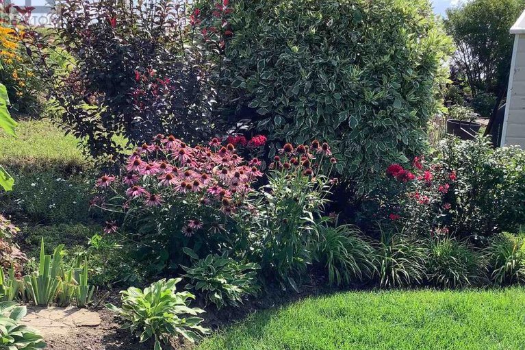 29377762/59-johanna-street/almonte/mississippi-mills/ontario/K0A1A0_35