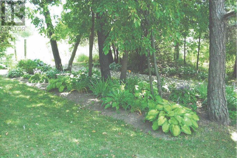 29295342/2377-ramsay-con-7b-avenue-s/mississippi-mills-ramsay-twp/mississippi-mills/ontario/K0A1A0_49