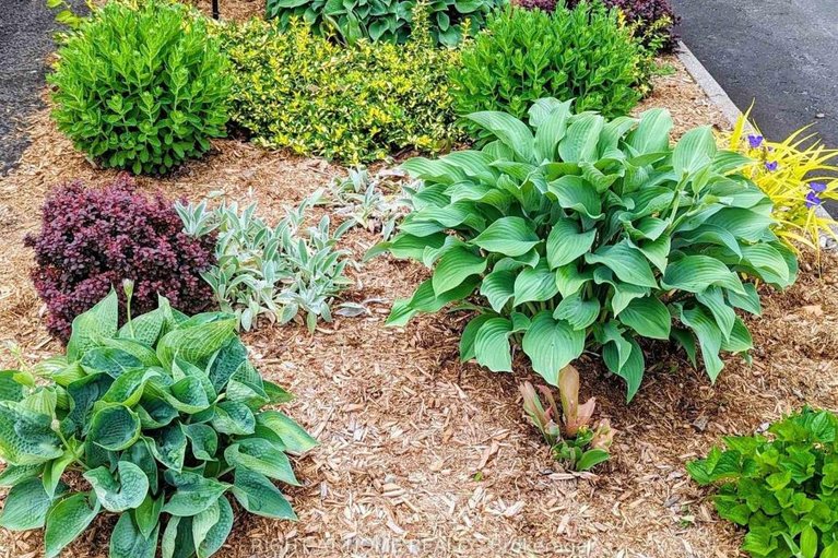 29615079/2034-p-avenue/eastway-gardensindustrial-park/ottawa/ontario/K1G6G7_35