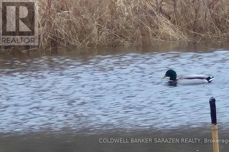 29667357/38-paddington-private/heron-gateindustrial-park/ottawa/ontario/K1V0T2_20