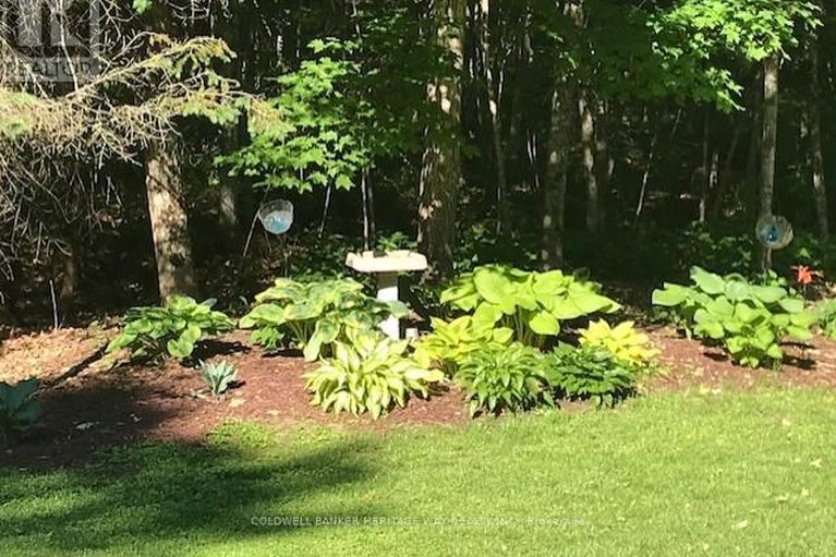 29626147/502-tennyson-road/drummond-n-elmsley-drummond-twp/drummondnorth-elmsley/ontario/K7H3C8_46